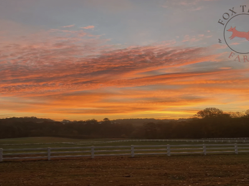 Fox Trail Farm